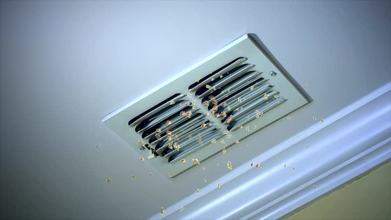 Best HVAC Maintenance and Cleaning  in Skidaway Island, GA