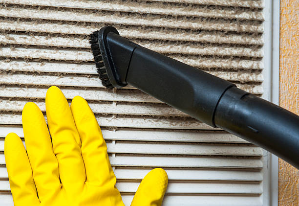 Best Home Air Vent Cleaning  in Skidaway Island, GA